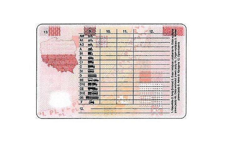 Czas trwania procesu uzyskania prawa jazdy AM