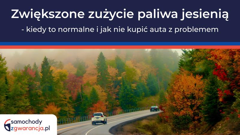 Jak ograniczyć spalanie motorówki