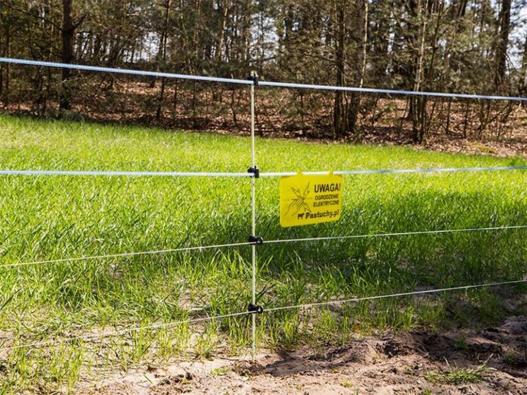 Jak samodzielnie zbudować elektrycznego pastucha z akumulatora?